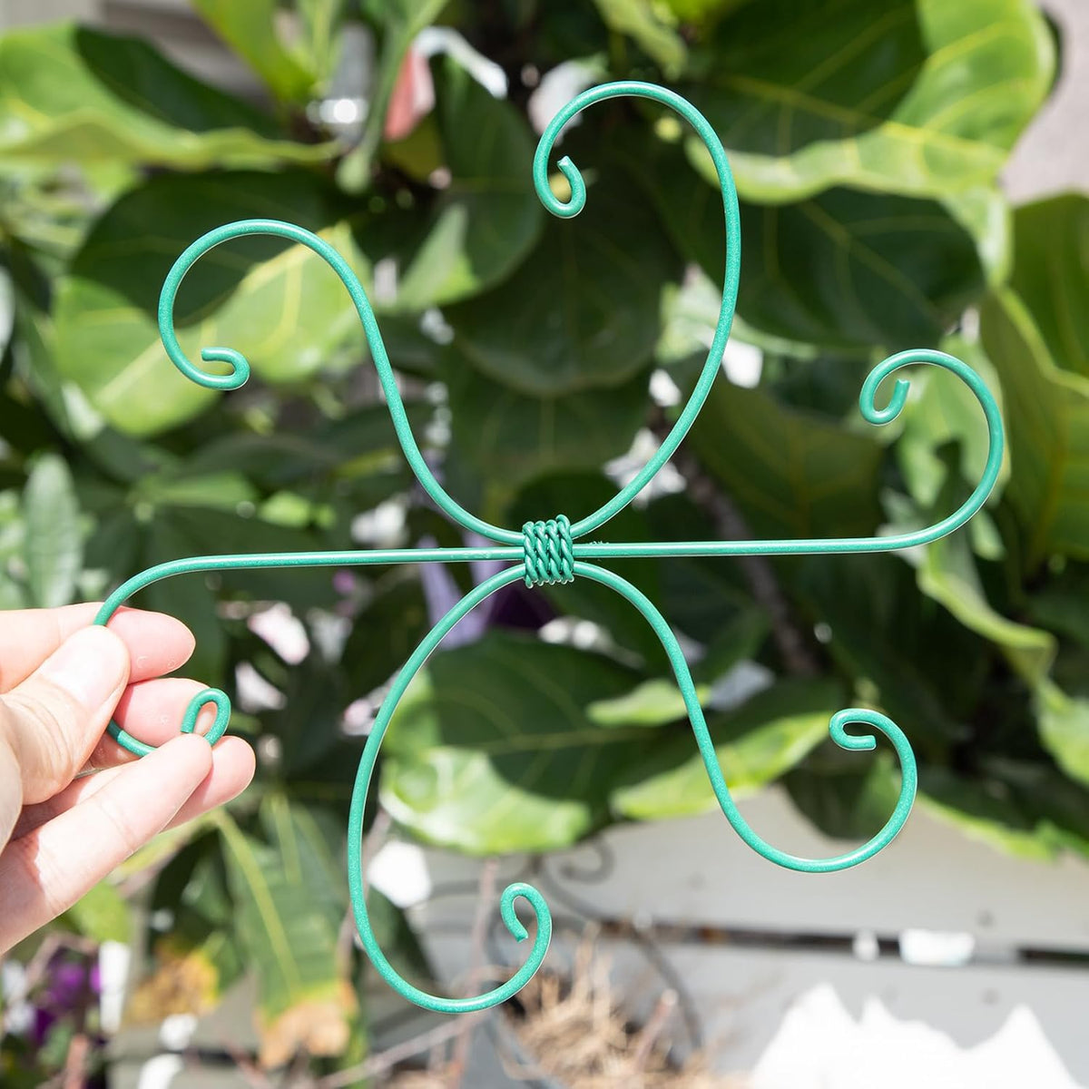 5PCS Monstera Plant Support Hook - 4.1 * 4.4IN Stem Holder