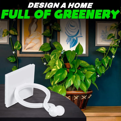 Plant Wall Clips for Climbing Plants 110 Pcs - Pothos Plant Climber Support, Large, Medium, Small Sizes Wall Clips for Support, Strong Self-Adhesive, For Indoor Plants, Cable Management & Plant Holder