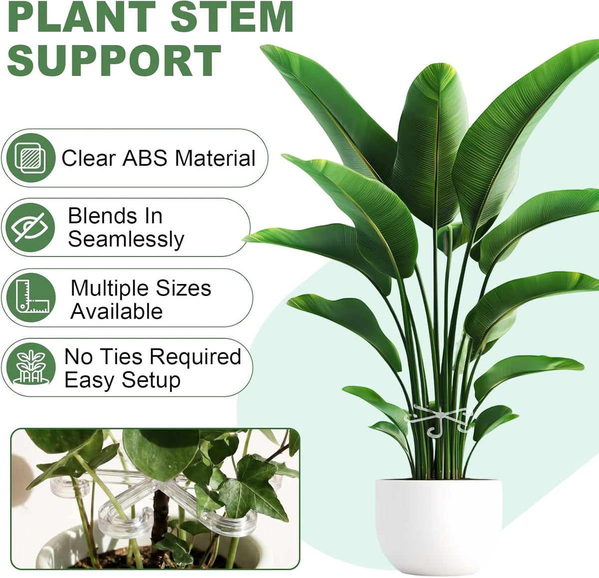 8 Pack Upgraded Plant Stem Support, Clear Plant Support for Indoor Plants, Monstera Plant Support, Reusable Plant Stabilizer, 4 Sizes Included Plant Accessories