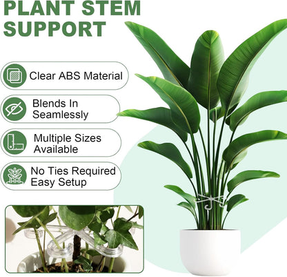 8 Pack Upgraded Plant Stem Support, Clear Plant Support for Indoor Plants, Monstera Plant Support, Reusable Plant Stabilizer, 4 Sizes Included Plant Accessories