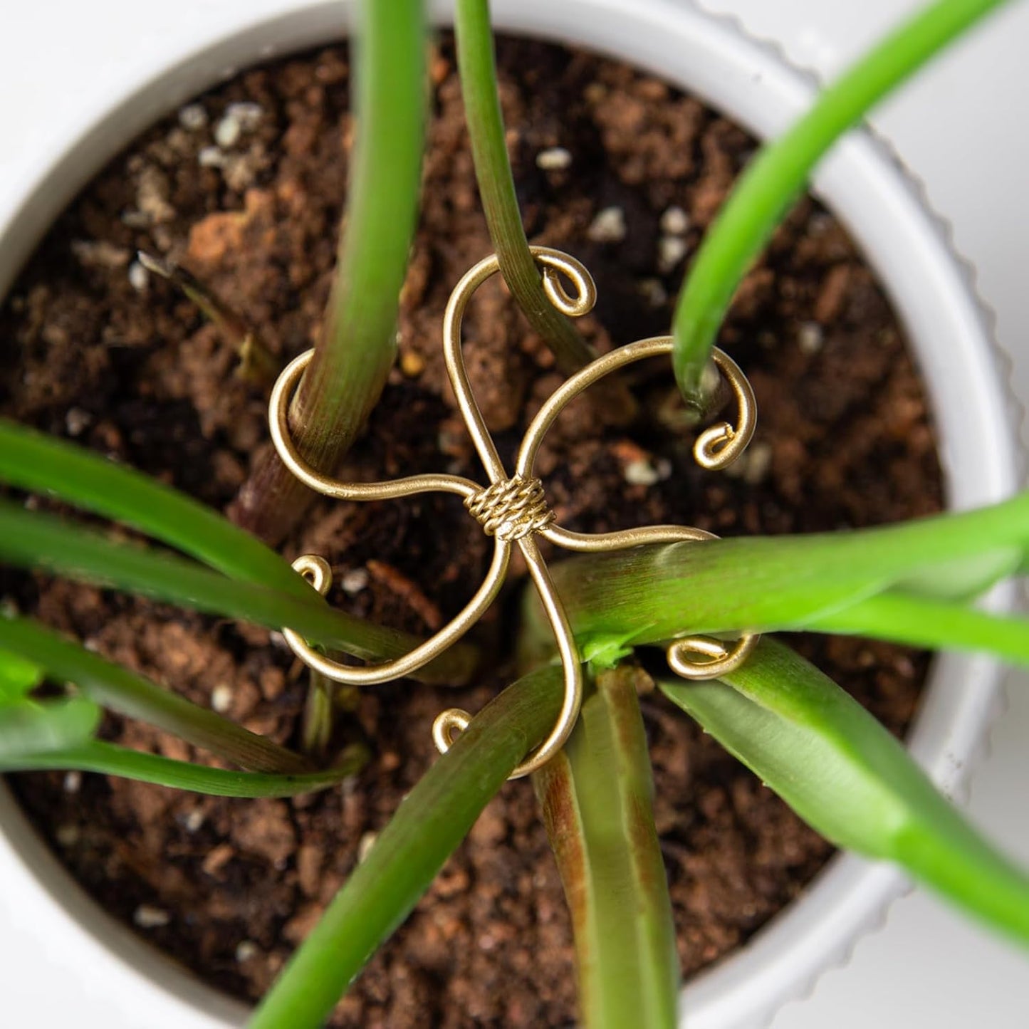 5PCS Monstera Plant Support Hook - 4.1 * 4.4IN Stem Holder