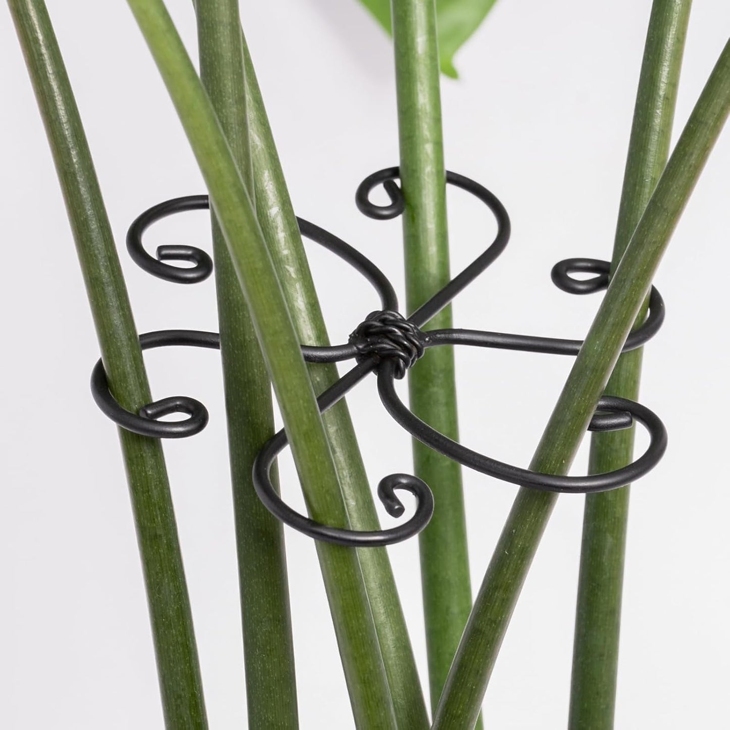 5PCS Monstera Plant Support Hook - 4.1 * 4.4IN Stem Holder