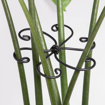 5PCS Monstera Plant Support Hook - 4.1 * 4.4IN Stem Holder