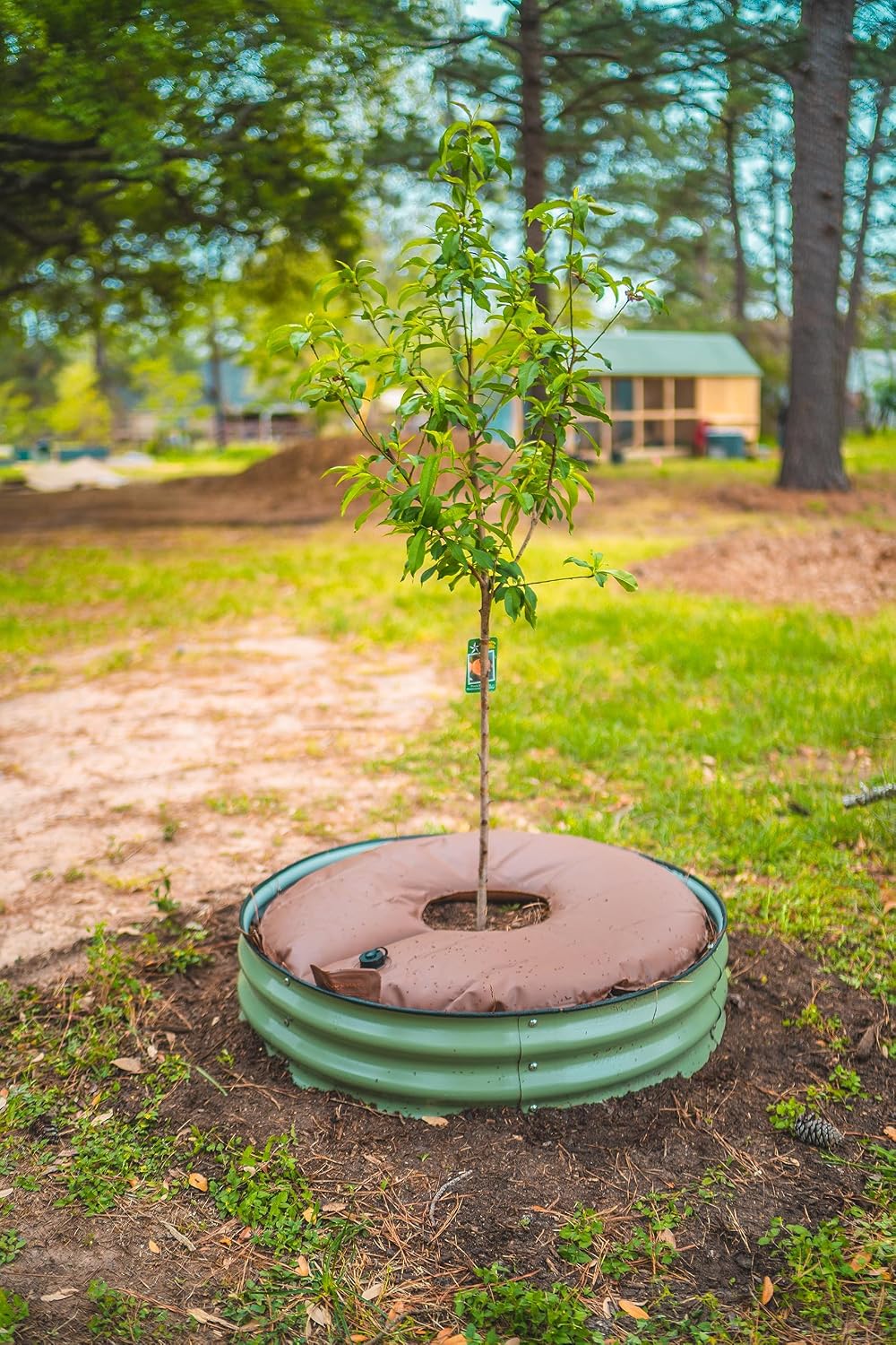 16 Gallon Tree Watering Bag/Ring, Extremely Heavy Duty PVC Planting Water Bag for Tree and Shrubs, Basic Water Saving Slow Release Root Water System for Tree Drip Irrigation-1 Pack