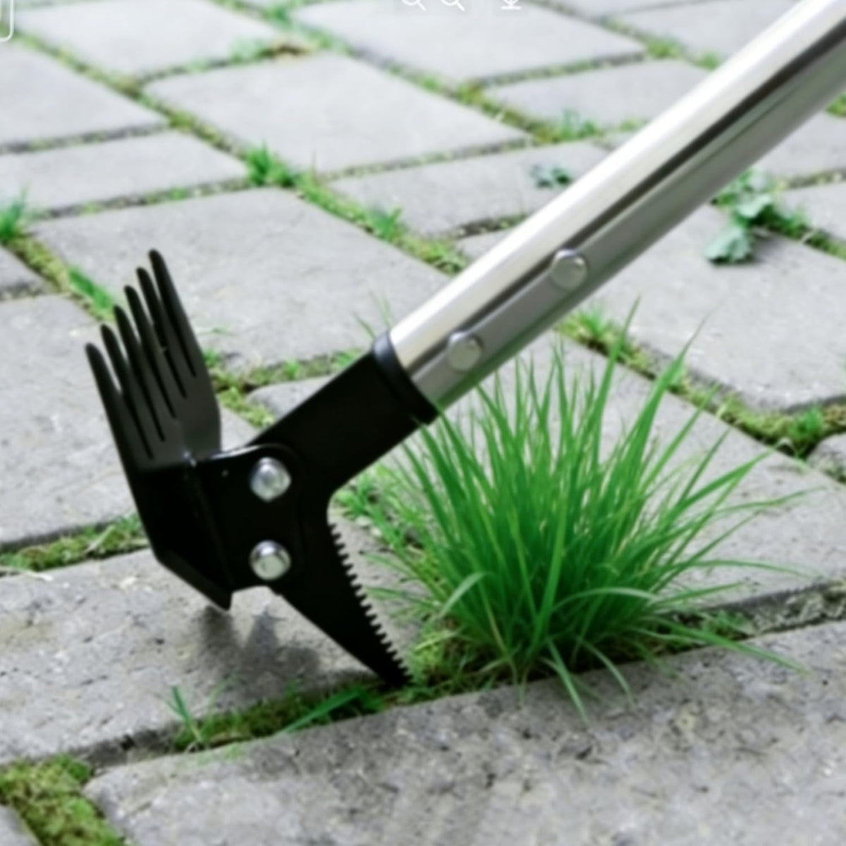 Weed Puller 61" Adjustable Long Handle, 2-in-1 Weed Rake & Crack Weeder with Detachable Head, Stainless Steel Weeding Tool for Lawn, Yard, Garden & Sidewalk Cracks, Weed Remover
