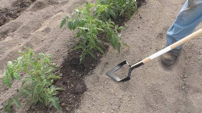 Tools Push Pull Hoe