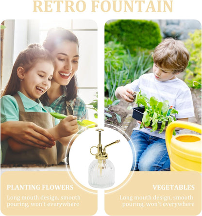 Glass Watering can 6.29in Transparent Plant Mister Spray Bottle with Long Spout Indoor Watering can for Succulents Garden Plants Home Use 1 Watering Kettle
