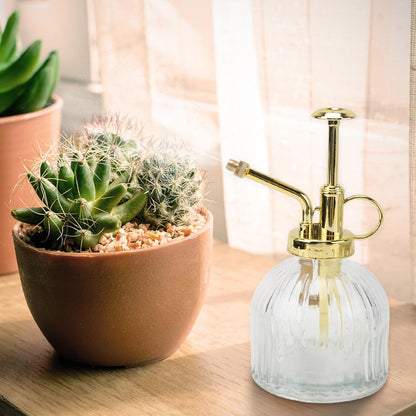 Glass Watering can 6.29in Transparent Plant Mister Spray Bottle with Long Spout Indoor Watering can for Succulents Garden Plants Home Use 1 Watering Kettle
