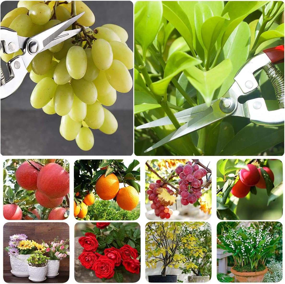 Pruning Shears with Stainless SK5 Steel Blades+Straight Tip Gardening Shears Garden Shears Garden Clippers Florist Scissors Hand Pruners Garden Tools Gardening Tools Set,Red