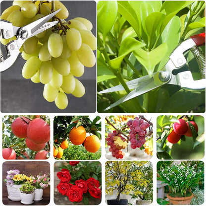 Pruning Shears with Stainless SK5 Steel Blades+Straight Tip Gardening Shears Garden Shears Garden Clippers Florist Scissors Hand Pruners Garden Tools Gardening Tools Set,Red
