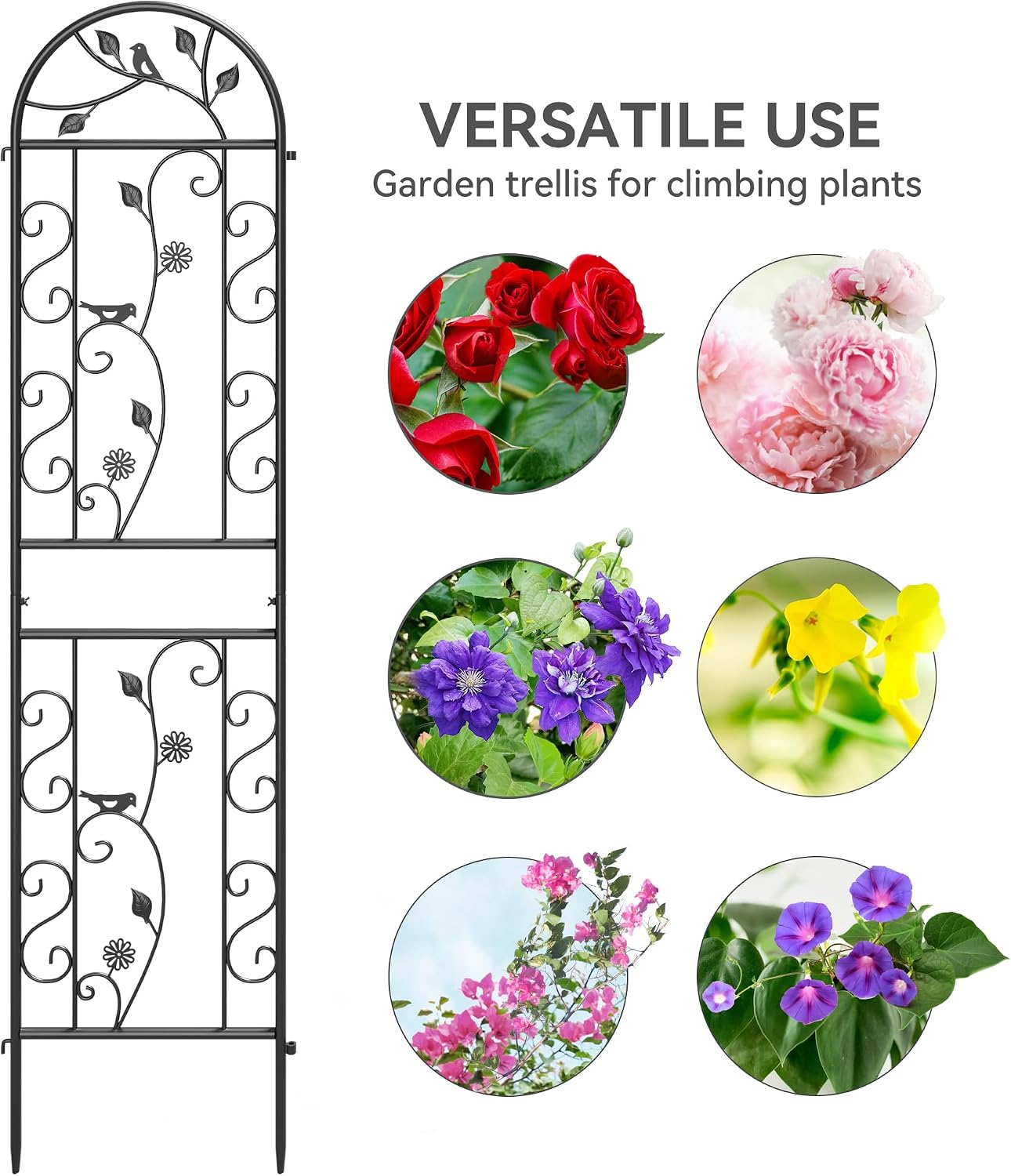 2-Pack 87" x 20" Daisy & Bird Arch Black Metal Garden Trellises