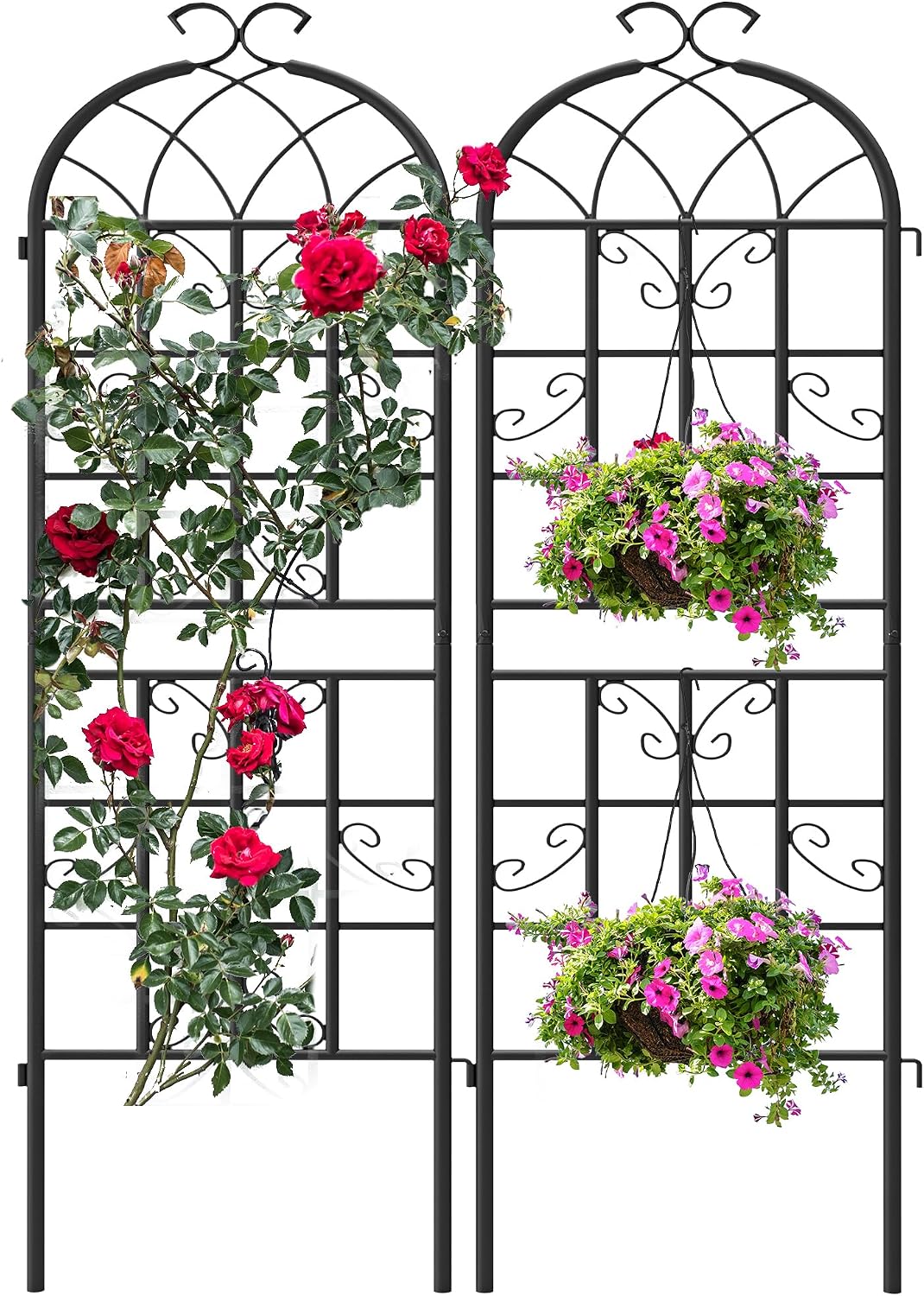 2-Pack 87" x 20" Daisy & Bird Arch Black Metal Garden Trellises