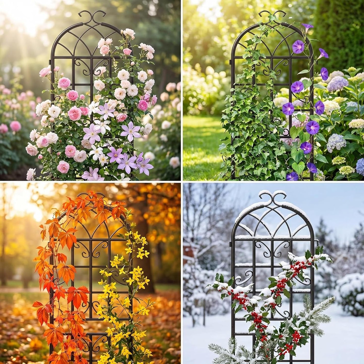 2-Pack 87" x 20" Daisy & Bird Arch Black Metal Garden Trellises