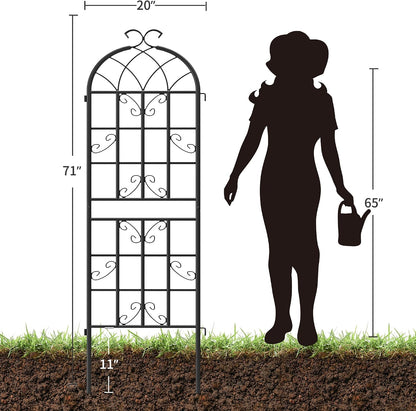 2-Pack 87" x 20" Daisy & Bird Arch Black Metal Garden Trellises