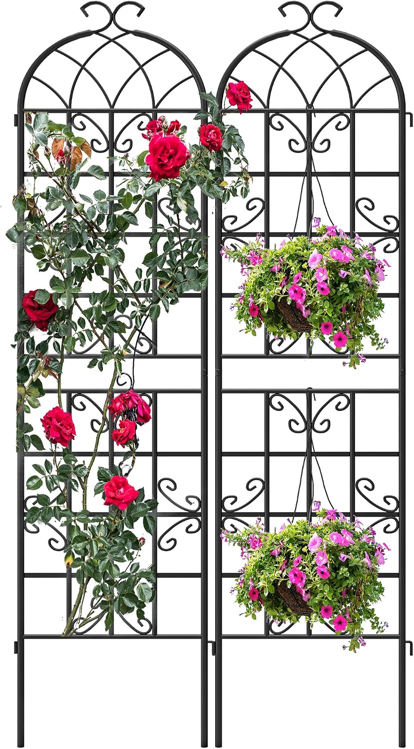 2-Pack 87" x 20" Daisy & Bird Arch Black Metal Garden Trellises