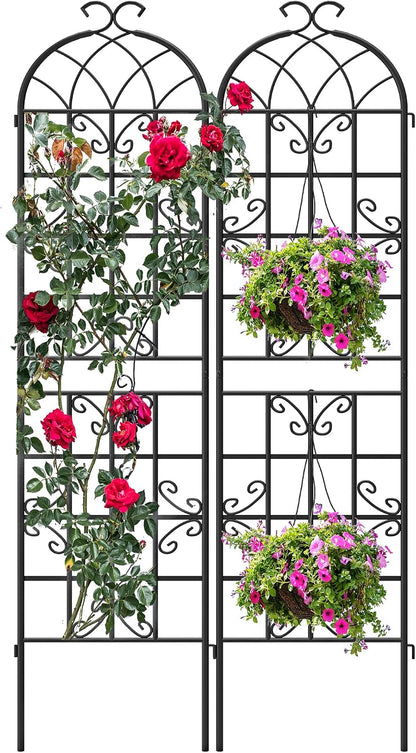 2-Pack 87" x 20" Daisy & Bird Arch Black Metal Garden Trellises