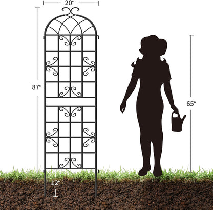 2-Pack 87" x 20" Daisy & Bird Arch Black Metal Garden Trellises