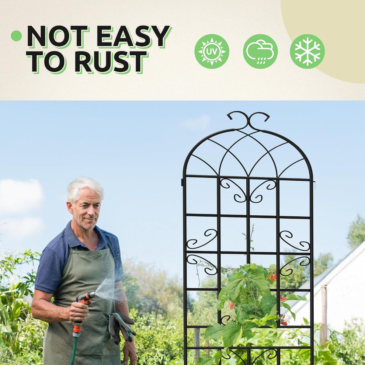 2-Pack 87" x 20" Daisy & Bird Arch Black Metal Garden Trellises