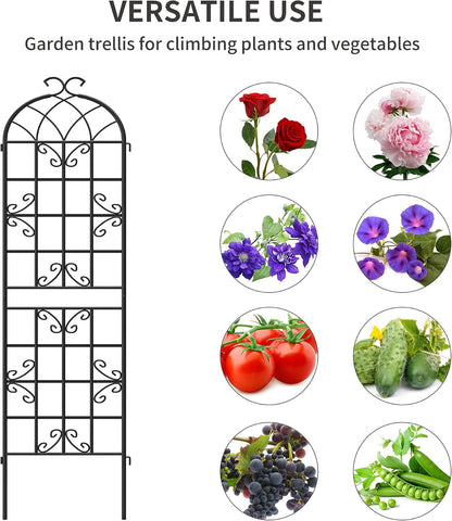 2-Pack 87" x 20" Daisy & Bird Arch Black Metal Garden Trellises