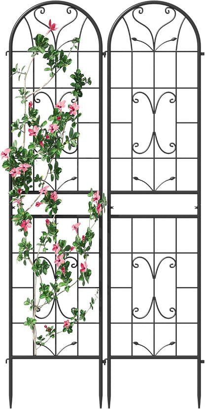 2-Pack 87" x 20" Daisy & Bird Arch Black Metal Garden Trellises