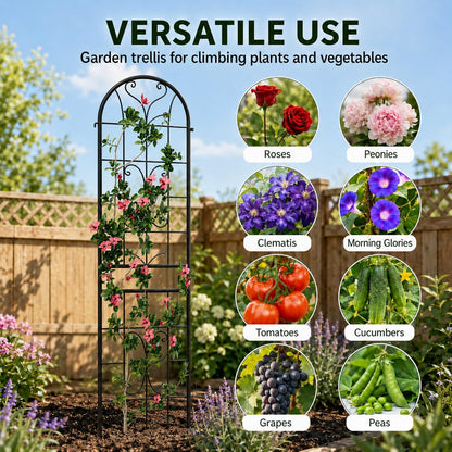 2-Pack 87" x 20" Daisy & Bird Arch Black Metal Garden Trellises