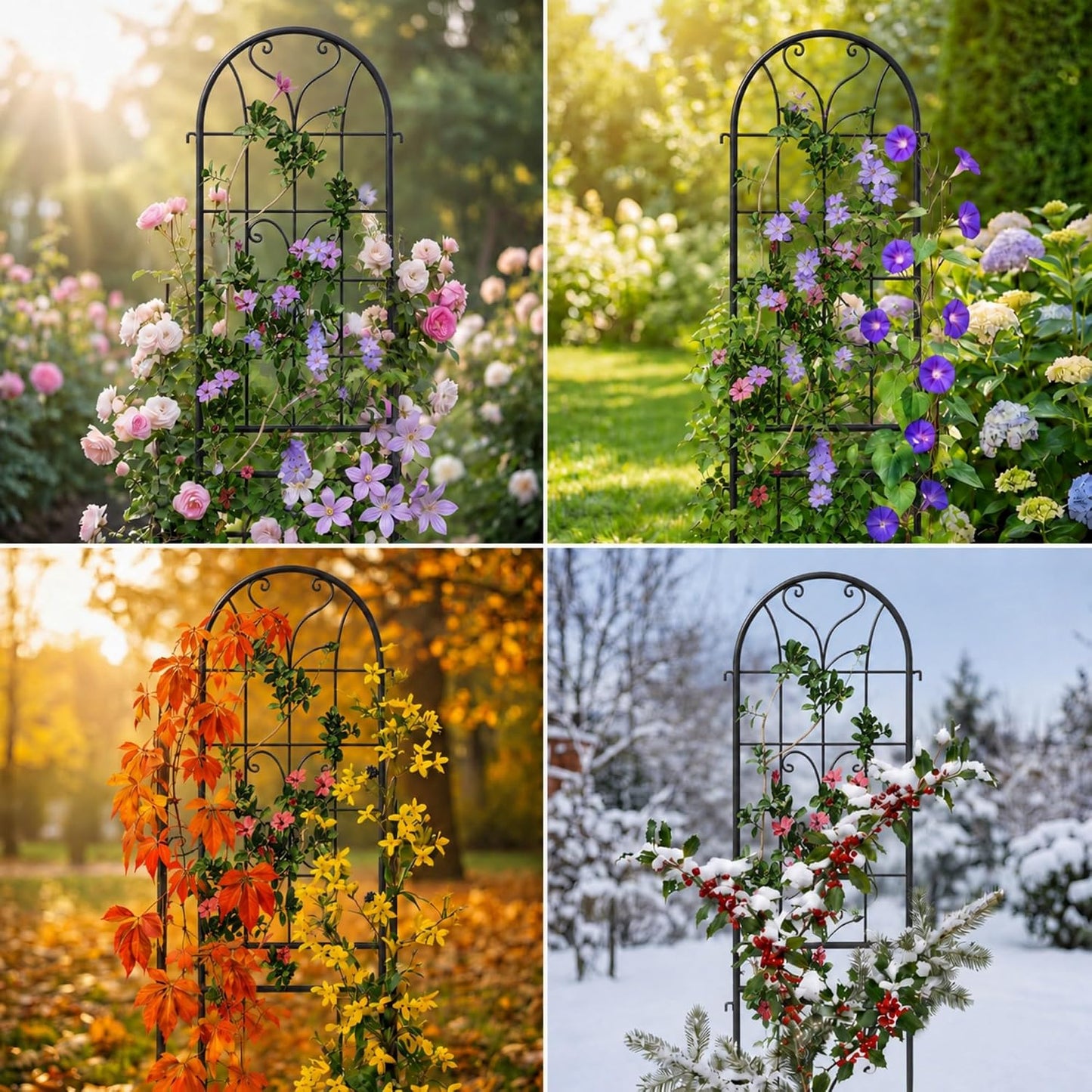 2-Pack 87" x 20" Daisy & Bird Arch Black Metal Garden Trellises