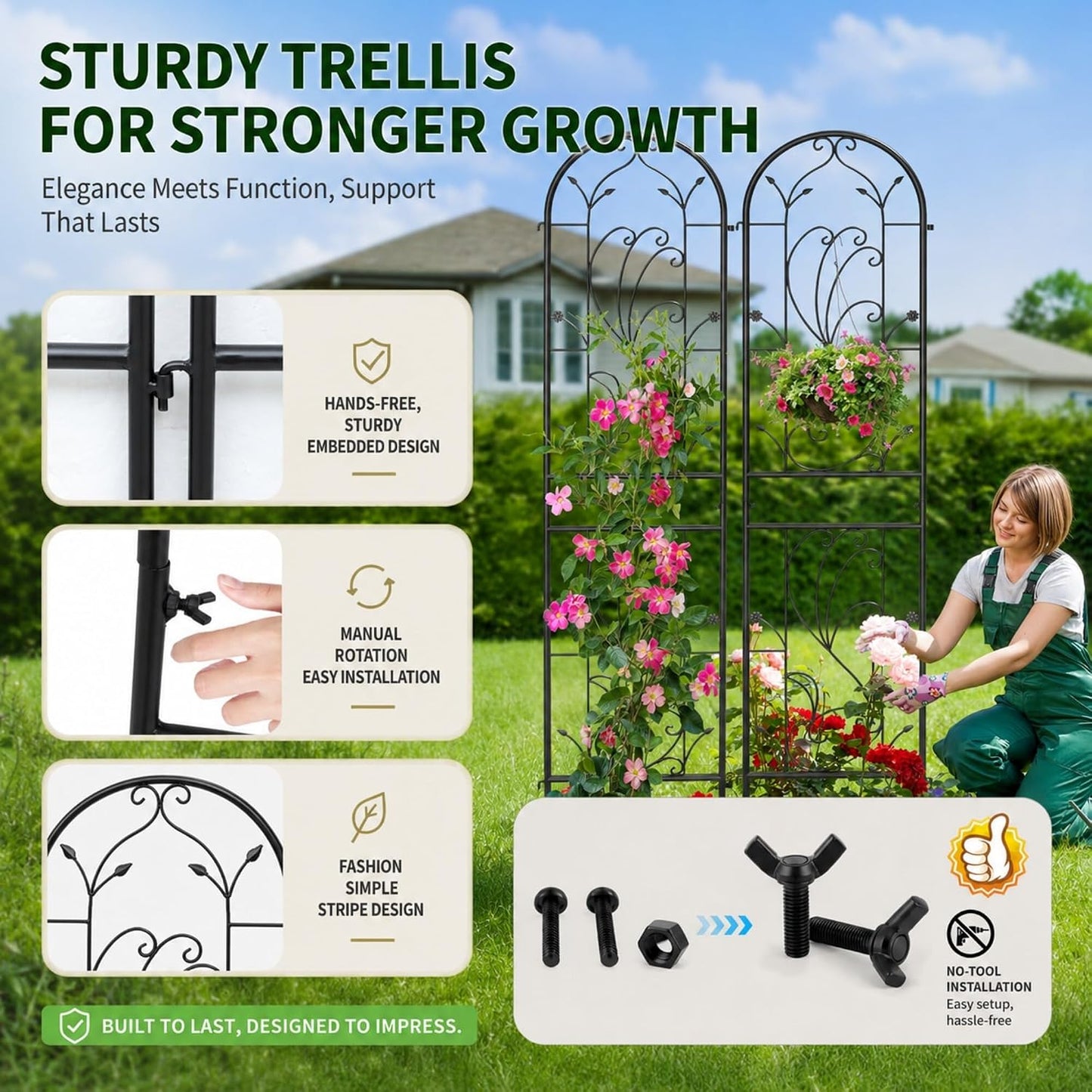 2-Pack 87" x 20" Daisy & Bird Arch Black Metal Garden Trellises