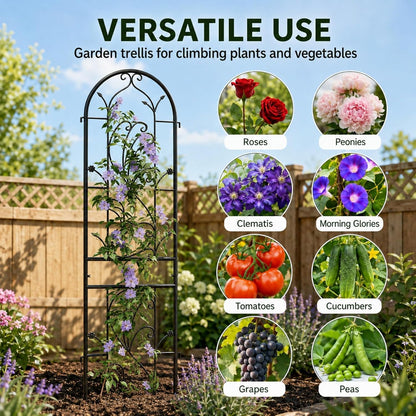 2-Pack 87" x 20" Daisy & Bird Arch Black Metal Garden Trellises