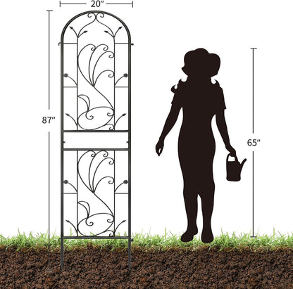 2-Pack 87" x 20" Daisy & Bird Arch Black Metal Garden Trellises