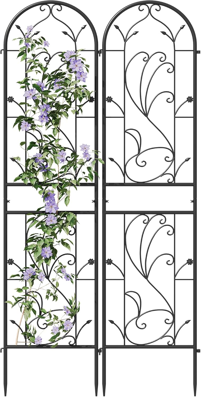 2-Pack 87" x 20" Daisy & Bird Arch Black Metal Garden Trellises
