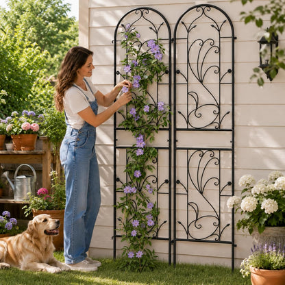 2-Pack 87" x 20" Daisy & Bird Arch Black Metal Garden Trellises