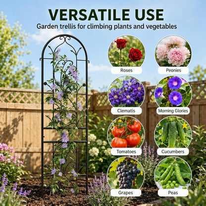 2-Pack 87" x 20" Daisy & Bird Arch Black Metal Garden Trellises
