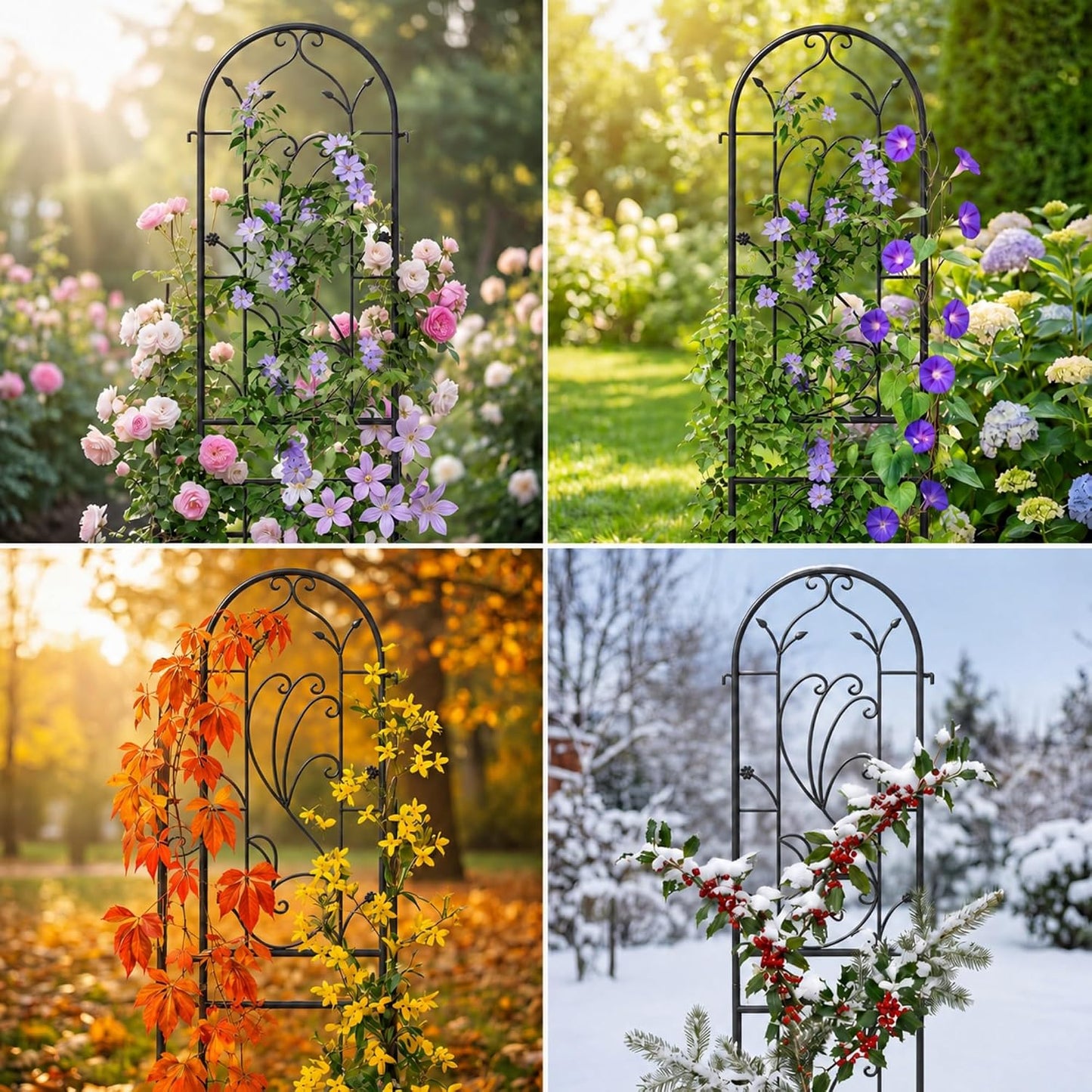 2-Pack 87" x 20" Daisy & Bird Arch Black Metal Garden Trellises