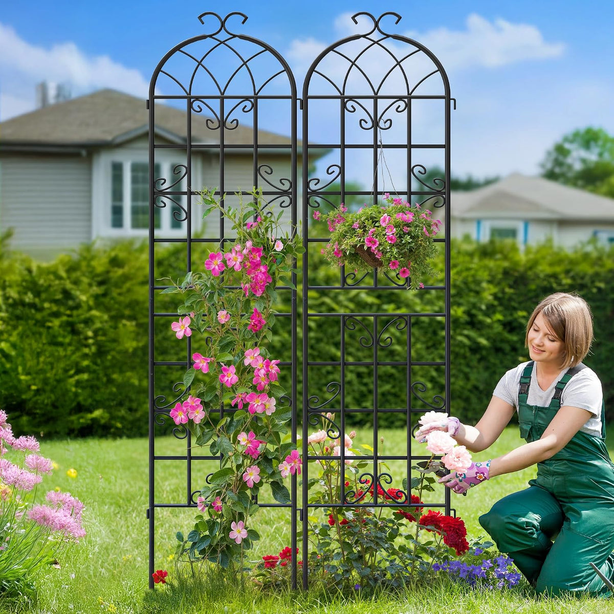 2-Pack 87" x 20" Daisy & Bird Arch Black Metal Garden Trellises