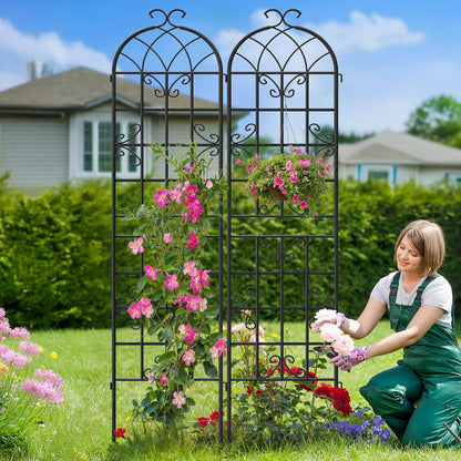 2-Pack 87" x 20" Daisy & Bird Arch Black Metal Garden Trellises
