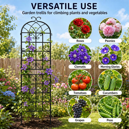 2-Pack 87" x 20" Daisy & Bird Arch Black Metal Garden Trellises