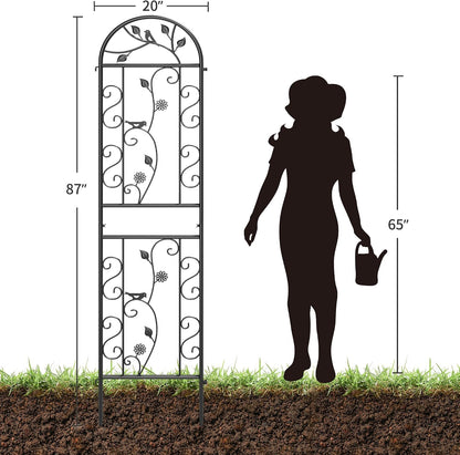 2-Pack 87" x 20" Daisy & Bird Arch Black Metal Garden Trellises