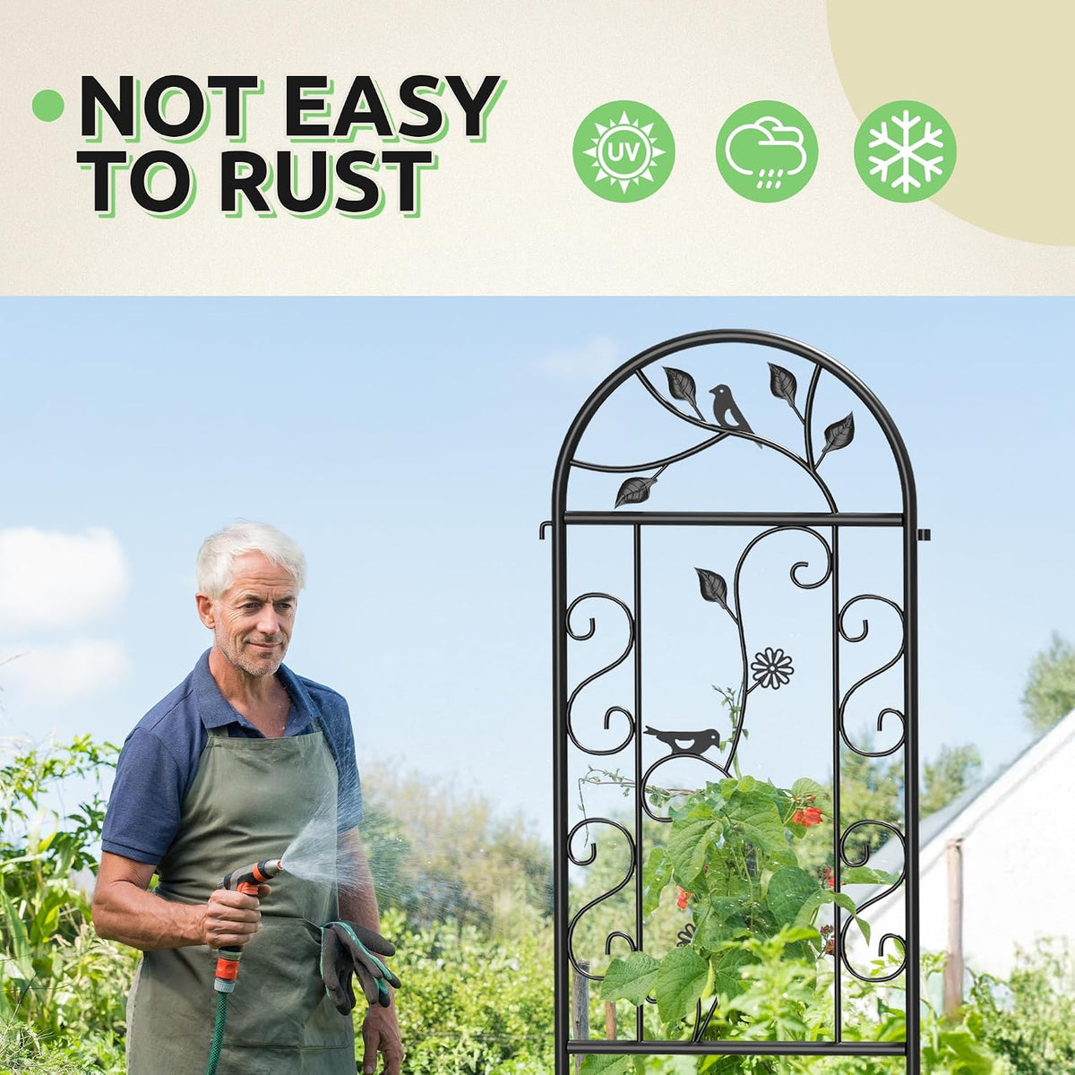2-Pack 87" x 20" Daisy & Bird Arch Black Metal Garden Trellises
