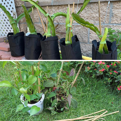 50Pcs / 4ft Bamboo Plant Stakes for Indoor Outdoor Plants, Garden Plant Support Sticks, Poles for Tomato Vegetables Beans Trees Potted Climbing Plants(0.32''-0.4'')