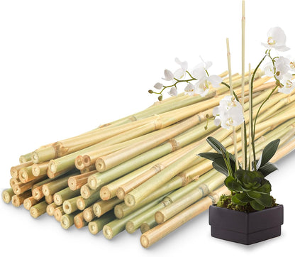 50Pcs / 4ft Bamboo Plant Stakes for Indoor Outdoor Plants, Garden Plant Support Sticks, Poles for Tomato Vegetables Beans Trees Potted Climbing Plants(0.32''-0.4'')