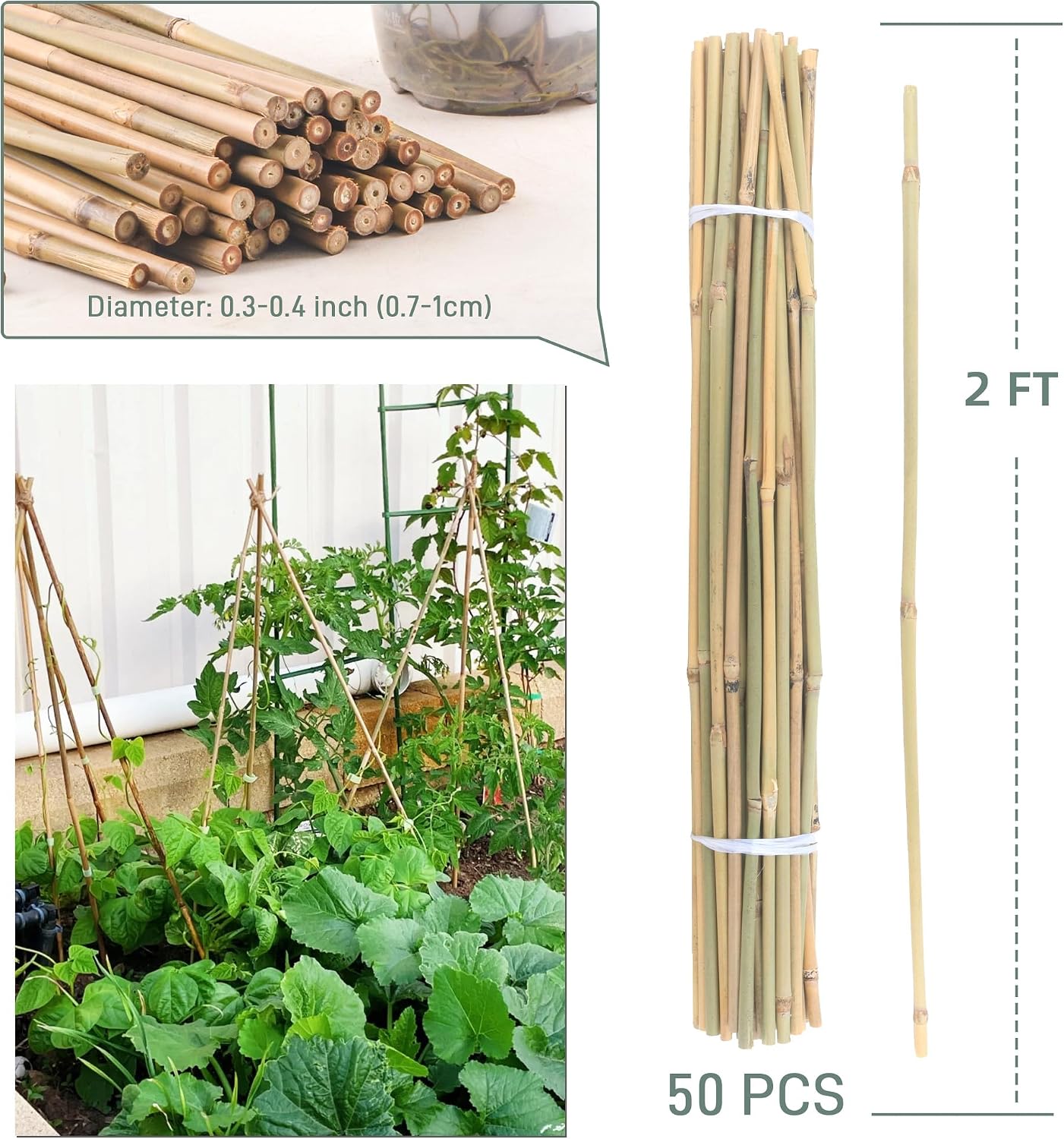 50Pcs / 4ft Bamboo Plant Stakes for Indoor Outdoor Plants, Garden Plant Support Sticks, Poles for Tomato Vegetables Beans Trees Potted Climbing Plants(0.32''-0.4'')