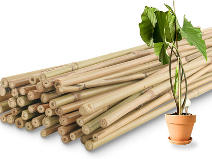 50Pcs / 4ft Bamboo Plant Stakes for Indoor Outdoor Plants, Garden Plant Support Sticks, Poles for Tomato Vegetables Beans Trees Potted Climbing Plants(0.32''-0.4'')