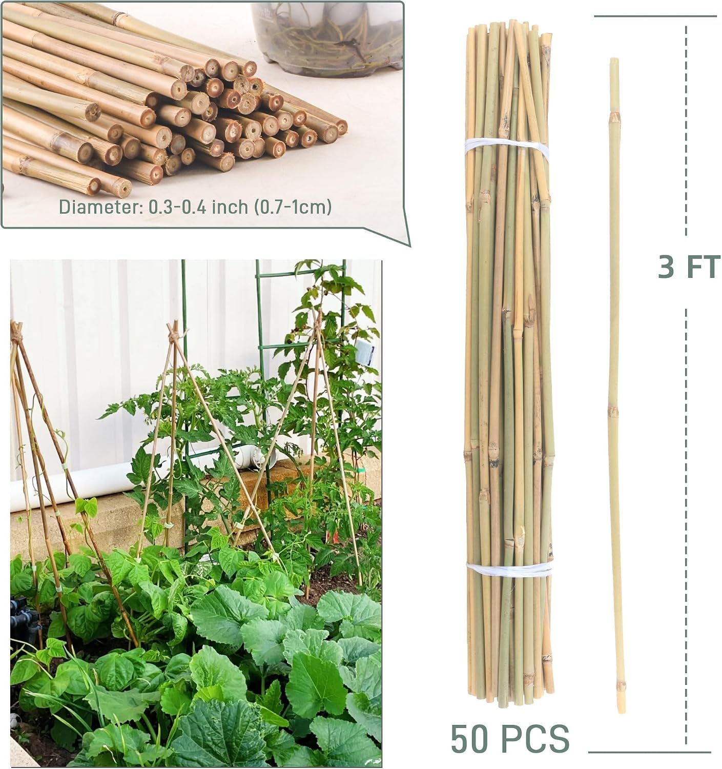 50Pcs / 4ft Bamboo Plant Stakes for Indoor Outdoor Plants, Garden Plant Support Sticks, Poles for Tomato Vegetables Beans Trees Potted Climbing Plants(0.32''-0.4'')