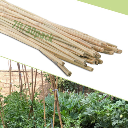50Pcs / 4ft Bamboo Plant Stakes for Indoor Outdoor Plants, Garden Plant Support Sticks, Poles for Tomato Vegetables Beans Trees Potted Climbing Plants(0.32''-0.4'')