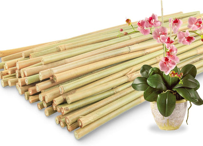 50Pcs / 4ft Bamboo Plant Stakes for Indoor Outdoor Plants, Garden Plant Support Sticks, Poles for Tomato Vegetables Beans Trees Potted Climbing Plants(0.32''-0.4'')