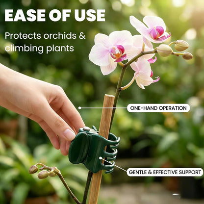 100pcs Standard Orchid Clips, Small Plant Clips for Thin Stem Vines