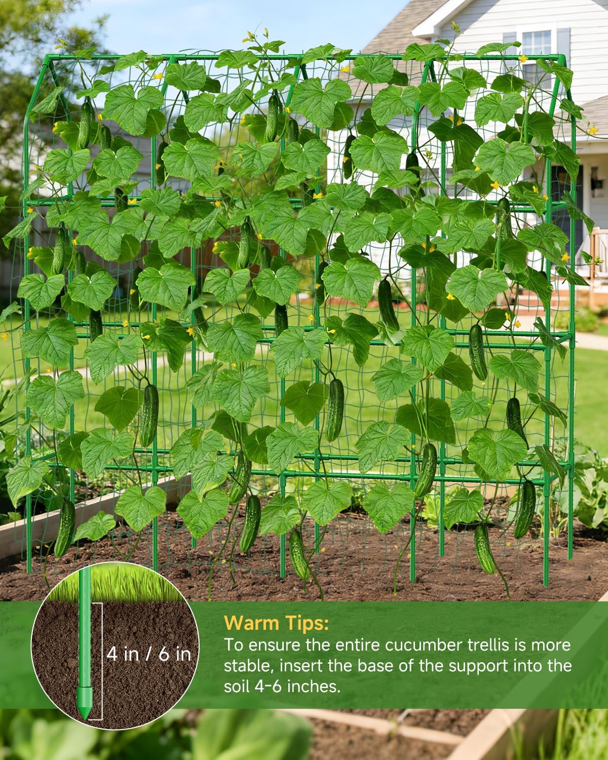 Cucumber Trellis for Climbing Plants Outdoor, A-Shape Garden Trellis for Raised Bed, Metal Plant Trellis with Garden Netting for Flower Vegetables, Pea, Grape (50 * 17 * 65inch(L*W*H)