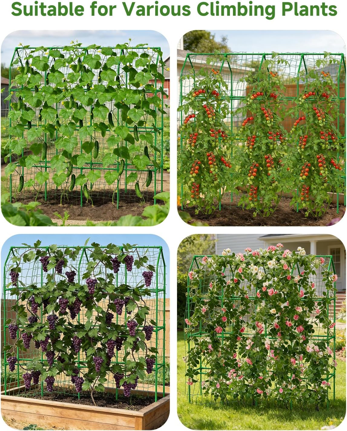 Cucumber Trellis for Climbing Plants Outdoor, A-Shape Garden Trellis for Raised Bed, Metal Plant Trellis with Garden Netting for Flower Vegetables, Pea, Grape (50 * 17 * 65inch(L*W*H)