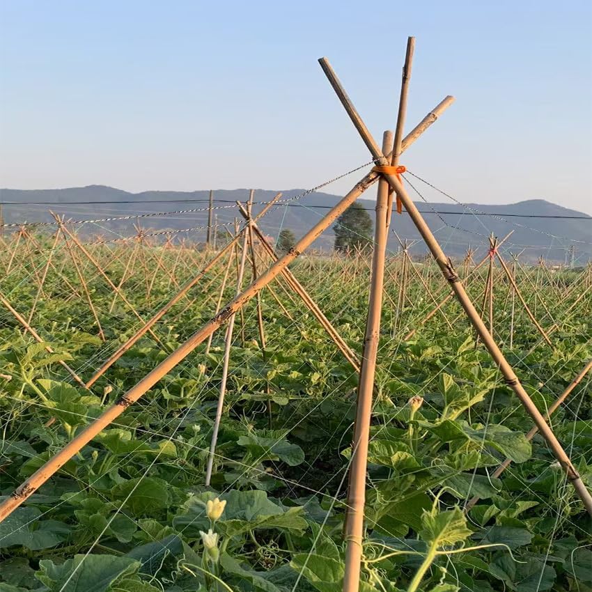 Bamboo Stakes,4Feet,65Pcs,Plant Bamboo Post, ,Bamboo Garden Stakes