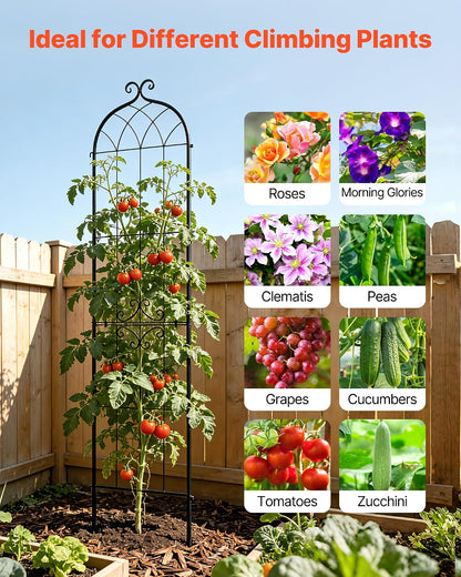 Garden Trellis, 87 x 20 inch Rose Trellis, 2 Packs Garden Flower Rose Trellises with Powder-Coated Finish & Convenient Locking Design, Plant Support Trellises for Flowers, Vegetables, Roses
